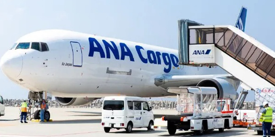 株式会社琉球通運航空メイン画像6
